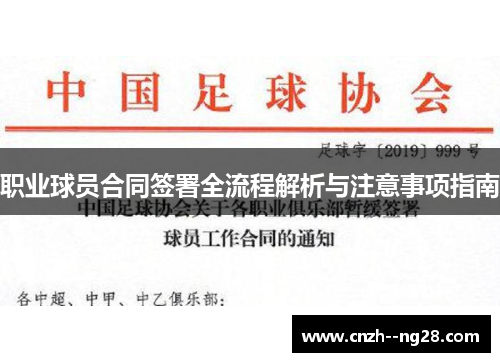 职业球员合同签署全流程解析与注意事项指南