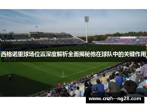 西格诺里球场位置深度解析全面揭秘他在球队中的关键作用 西格诺里球场位置深度解析全面揭秘他在球队中的关键作用
