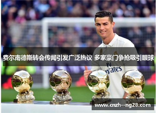 费尔南德斯转会传闻引发广泛热议 多家豪门争抢吸引眼球 费尔南德斯转会传闻引发广泛热议 多家豪门争抢吸引眼球