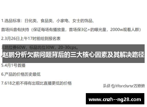 赵鹏分析欠薪问题背后的三大核心因素及其解决路径 赵鹏分析欠薪问题背后的三大核心因素及其解决路径