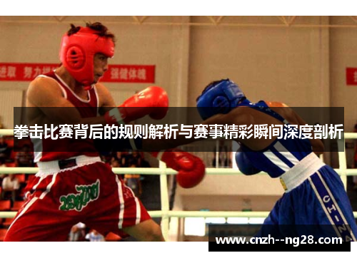 拳击比赛背后的规则解析与赛事精彩瞬间深度剖析