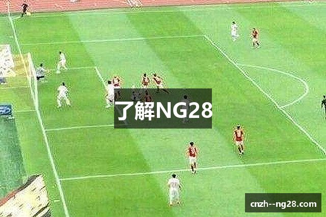 了解NG28